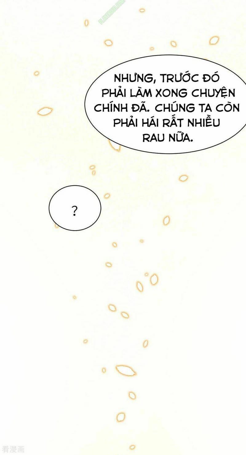 image 23