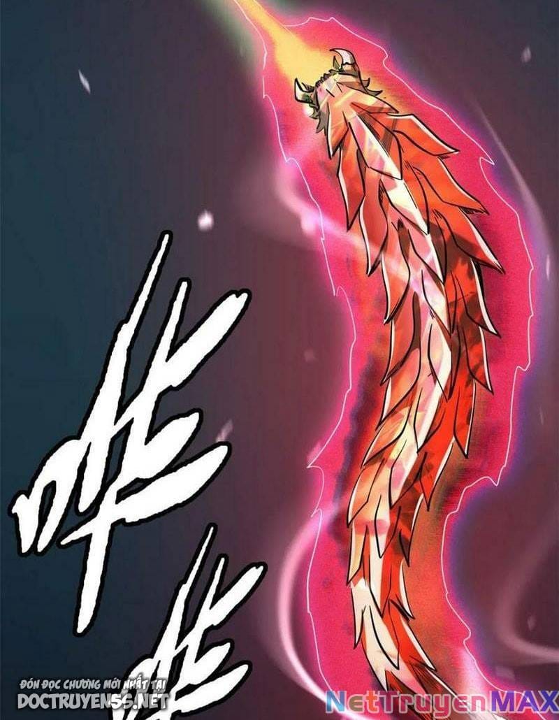 image 31