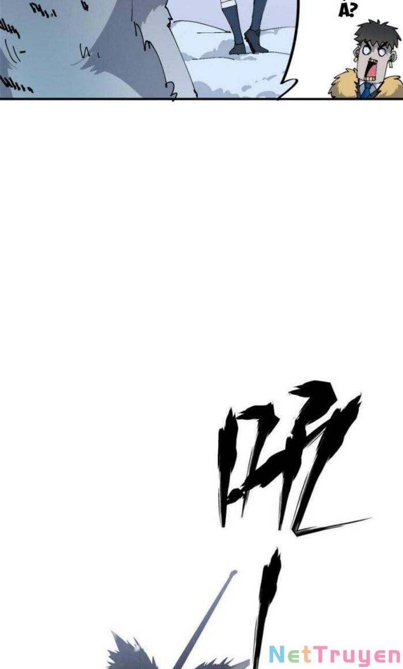 image 45