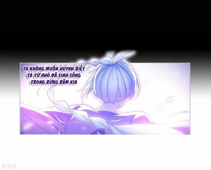image 32