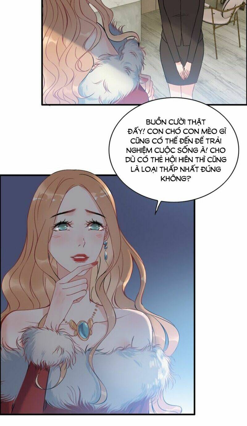 page_13