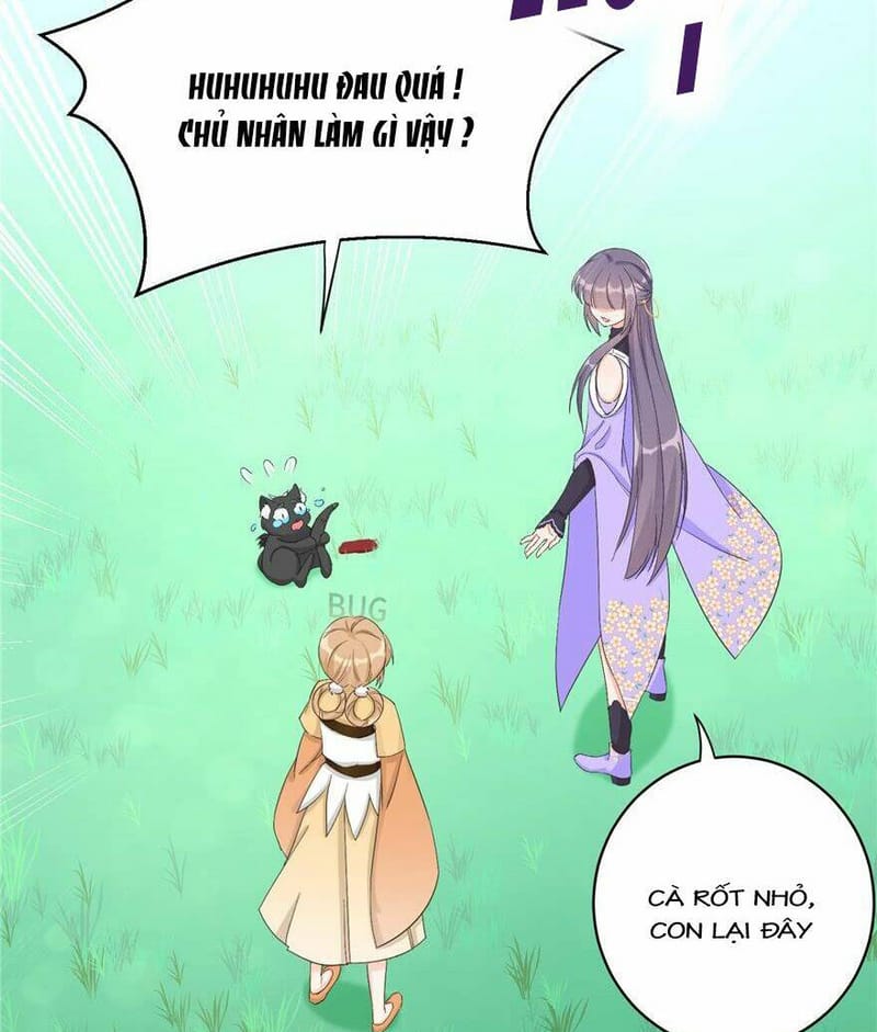 page_16