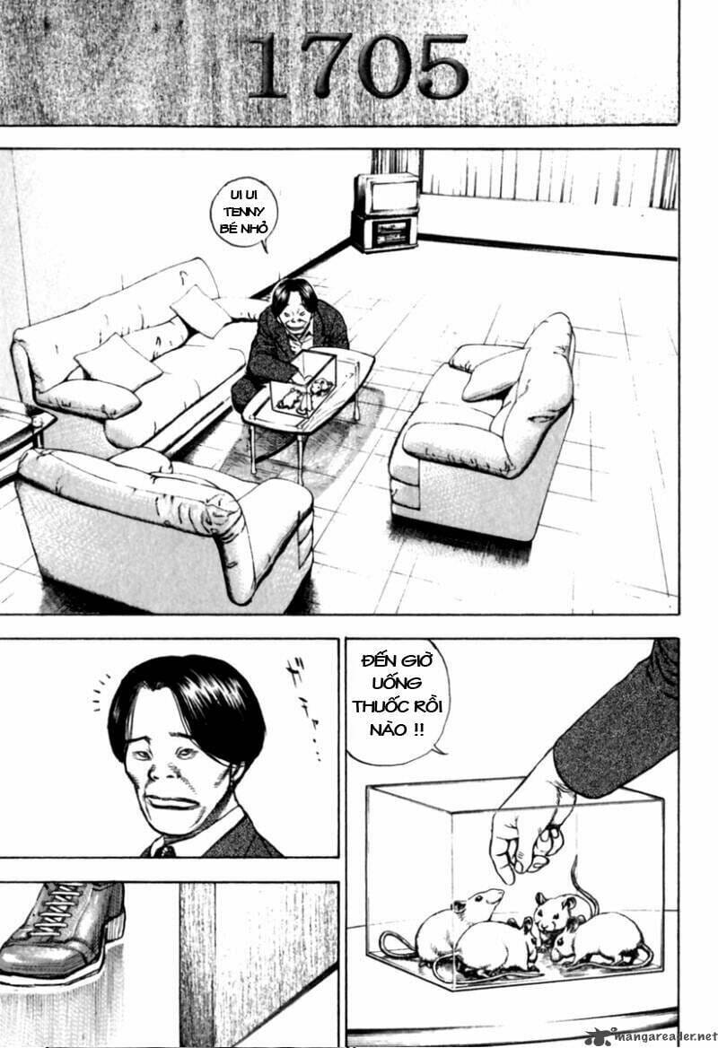 page_17