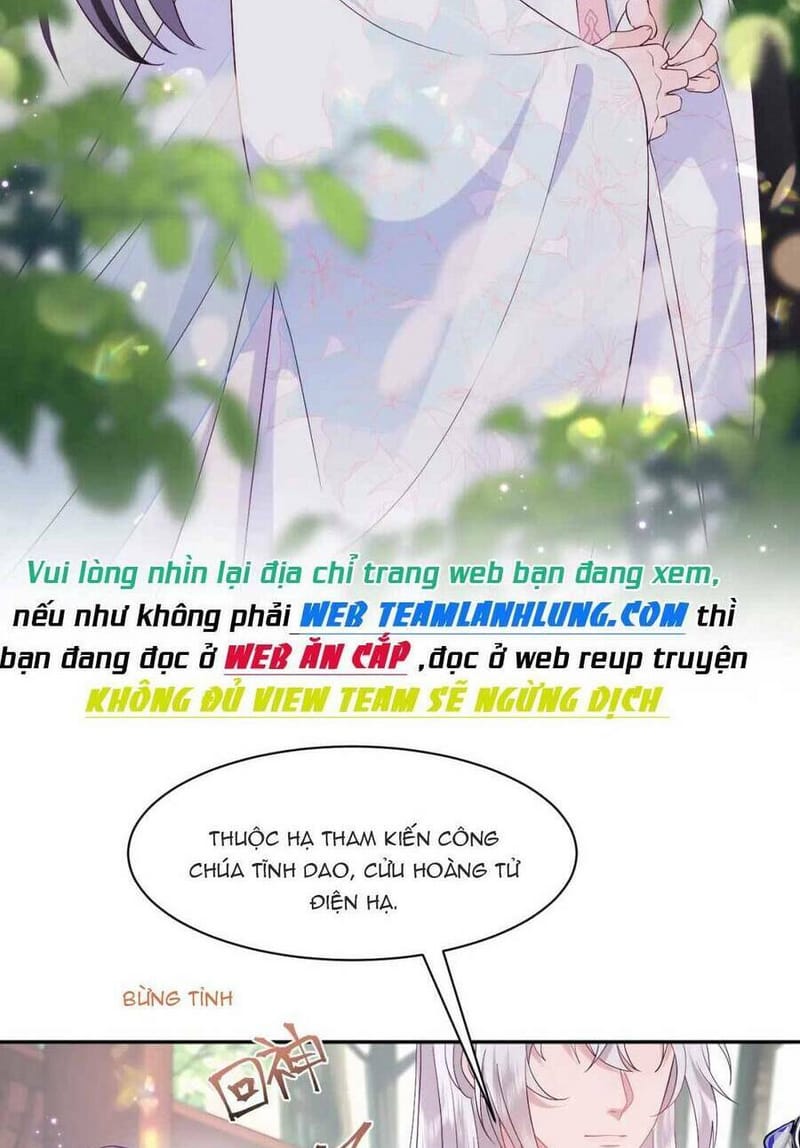 page_29