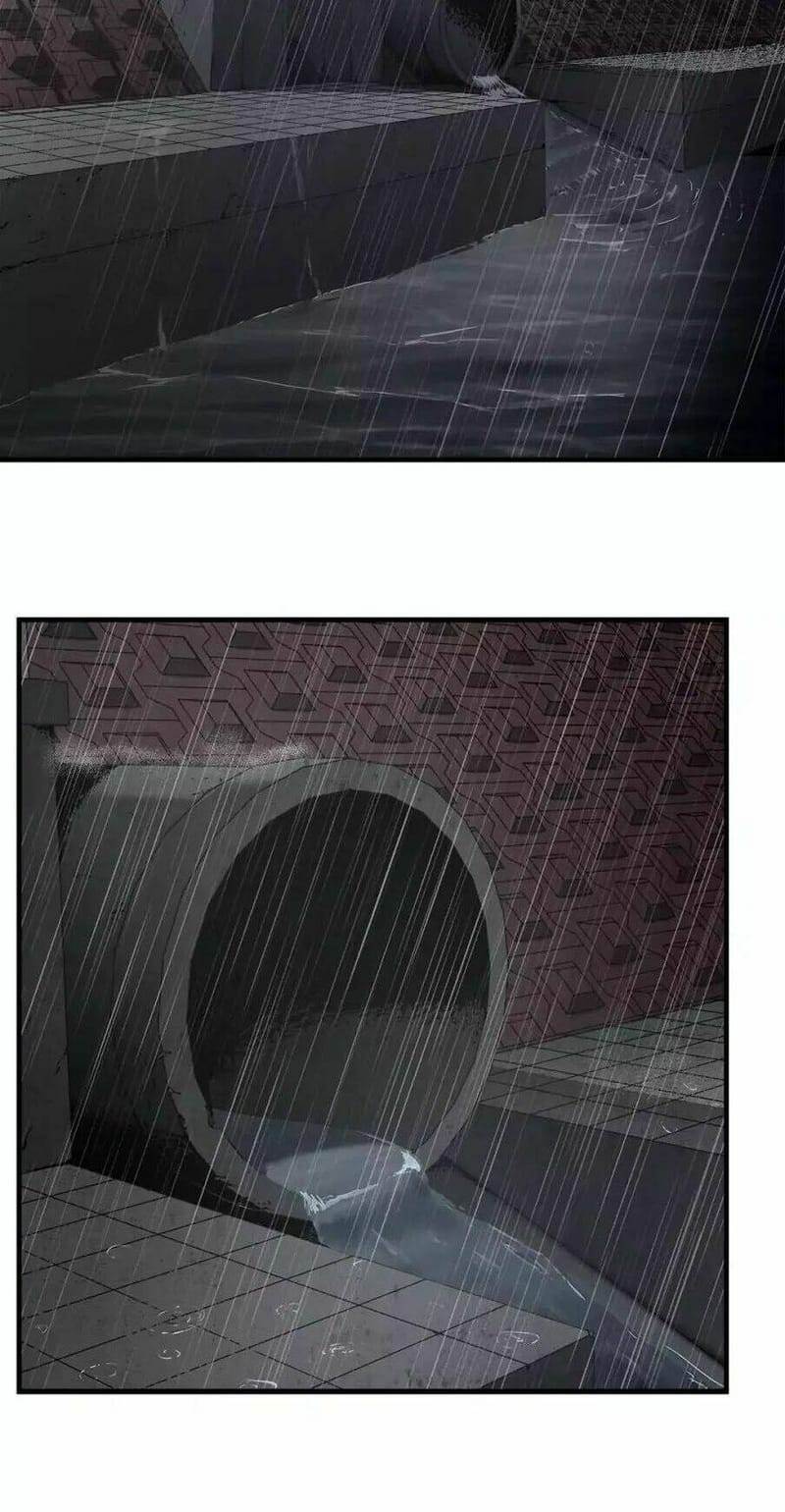 page_29