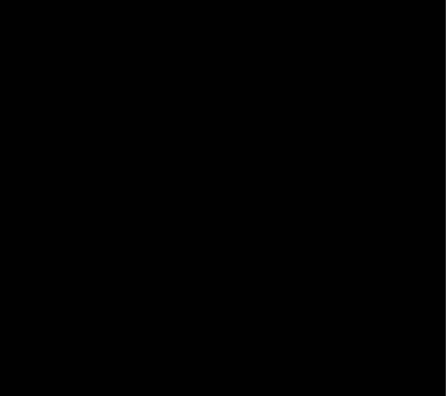 image 41