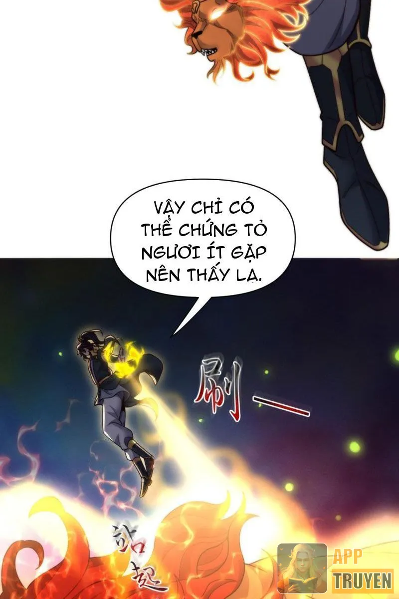 image 22