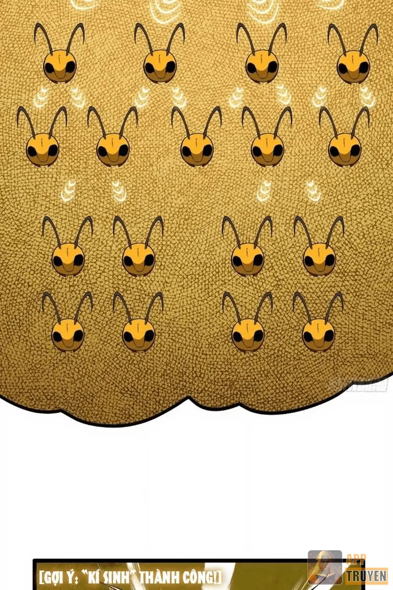 image 46