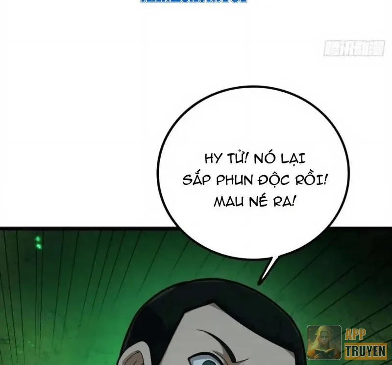 image 32