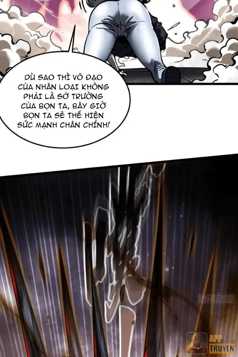 Cao Võ Tiến Hóa: Bắt Đầu Thức Tỉnh Quái Thú Chi Vương Chapter 99 - 33