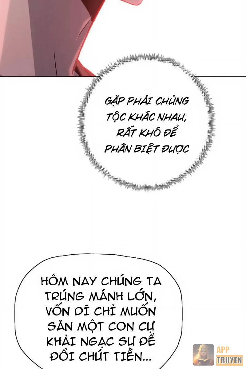 image 23
