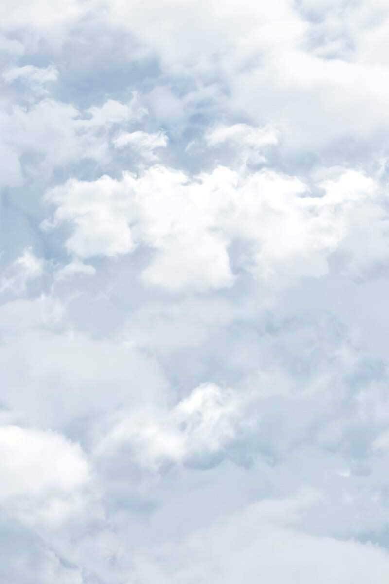 image 58