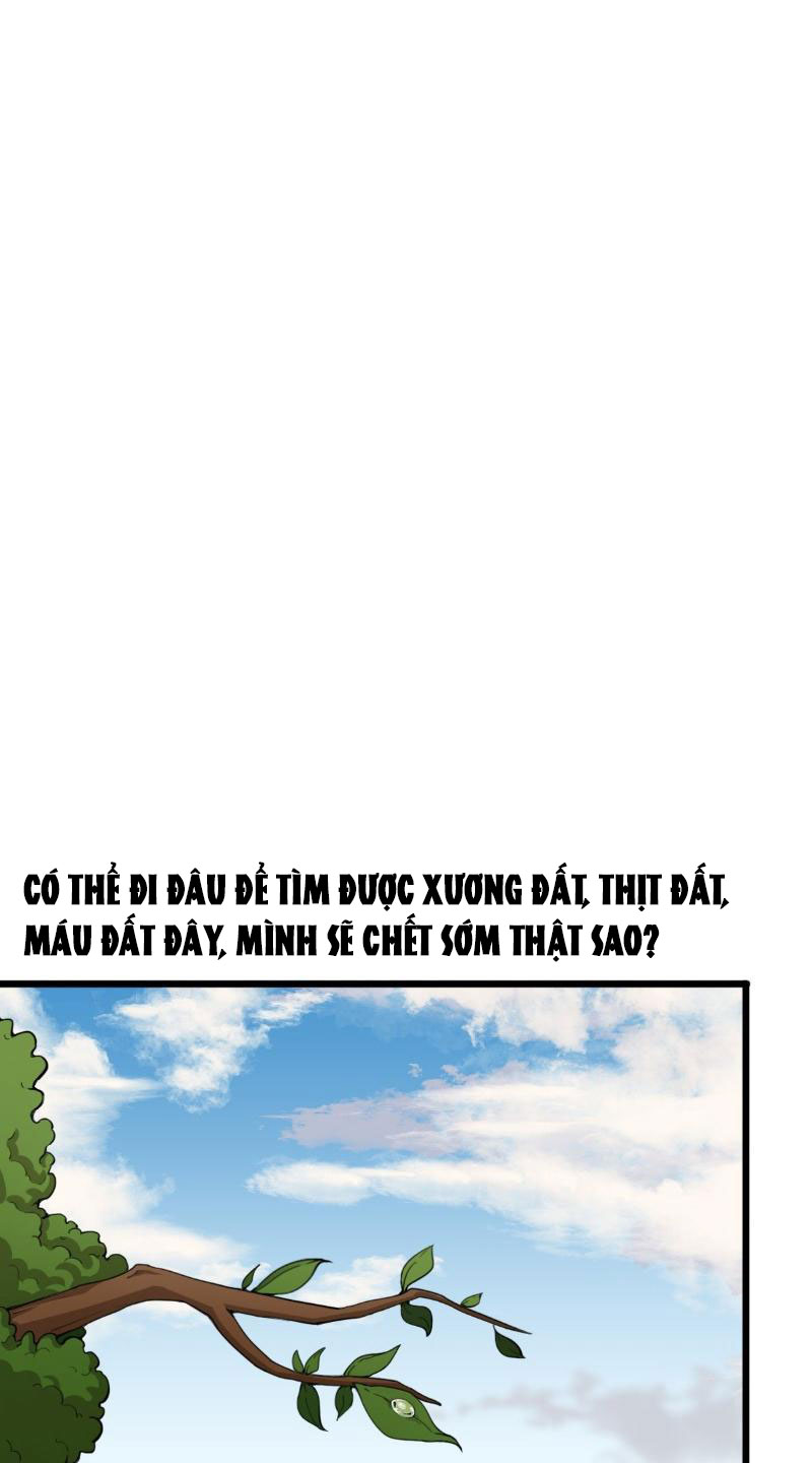 image 35
