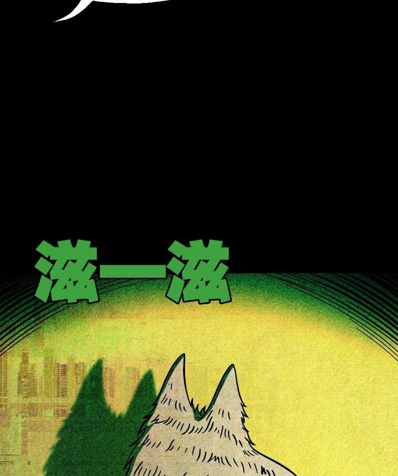 image 28