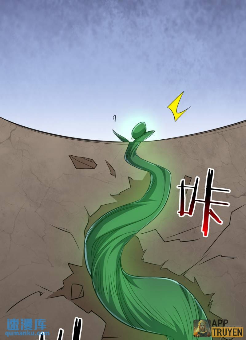 image 33