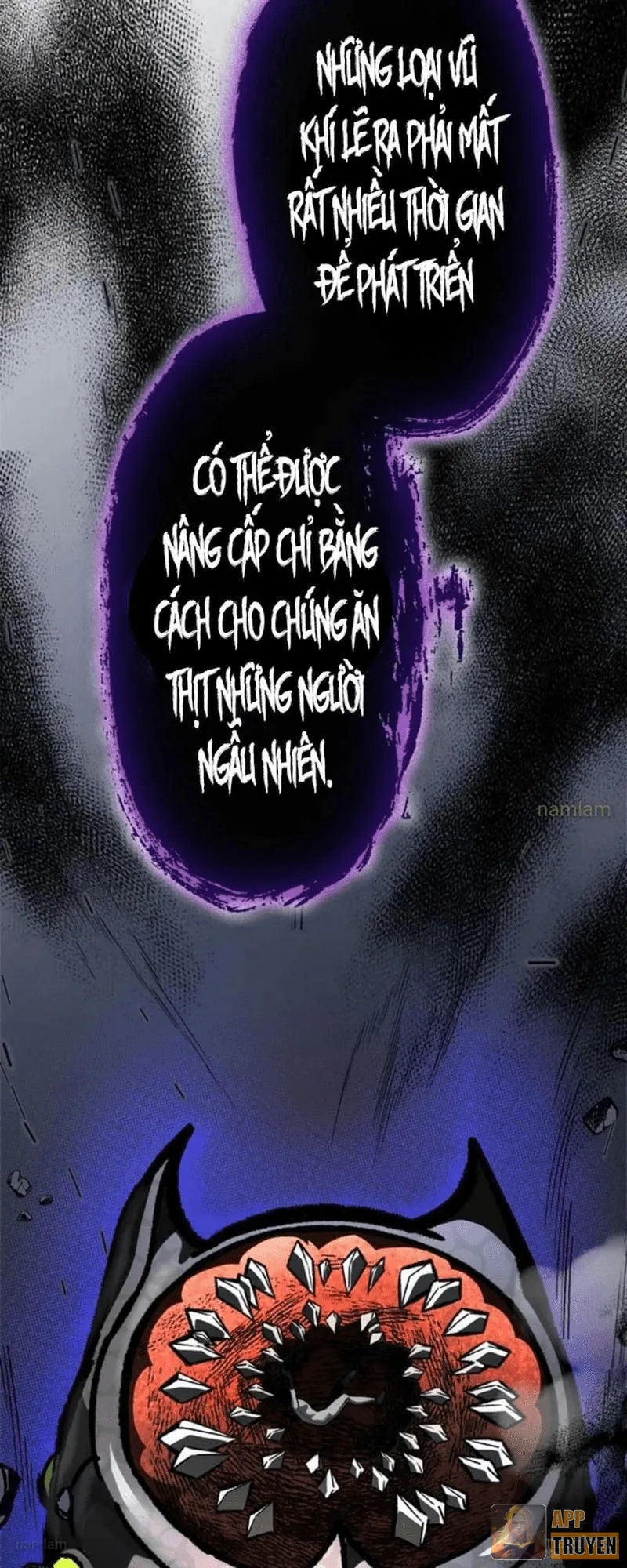 image 33