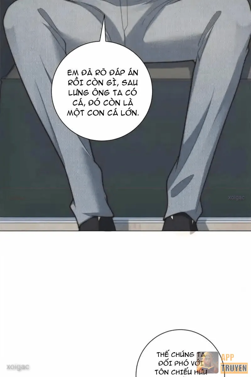 image 39