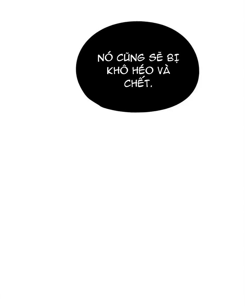 image 38