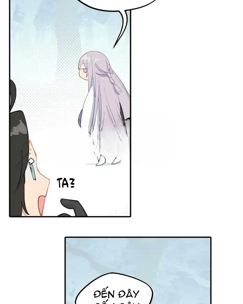 image 39