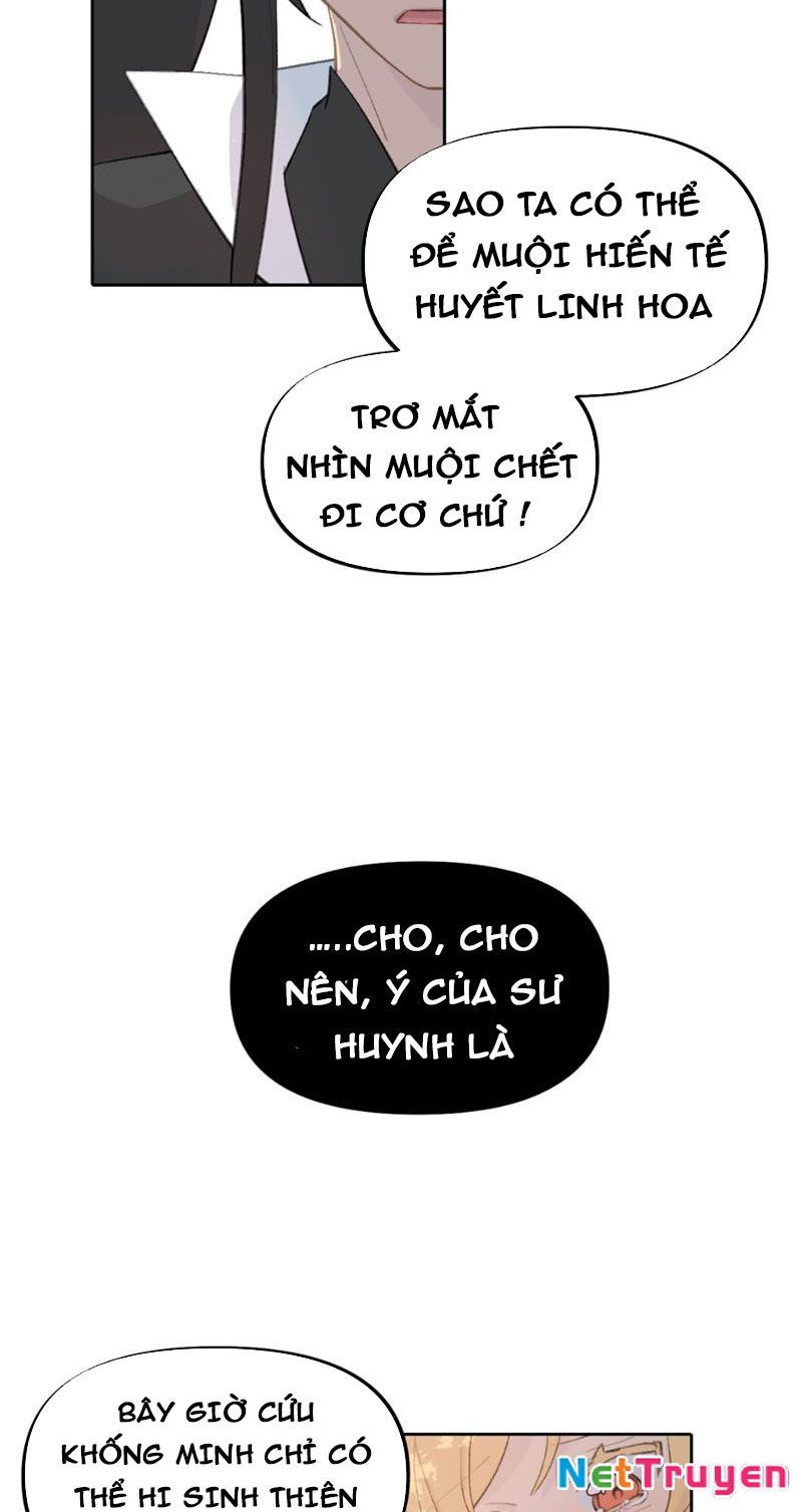 image 31