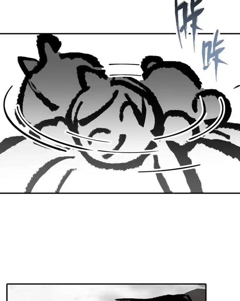 image 33