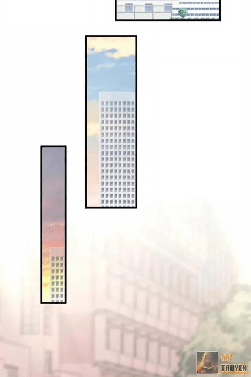 image 38