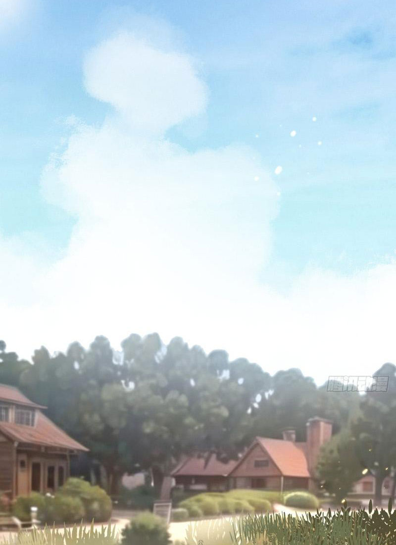 image 33