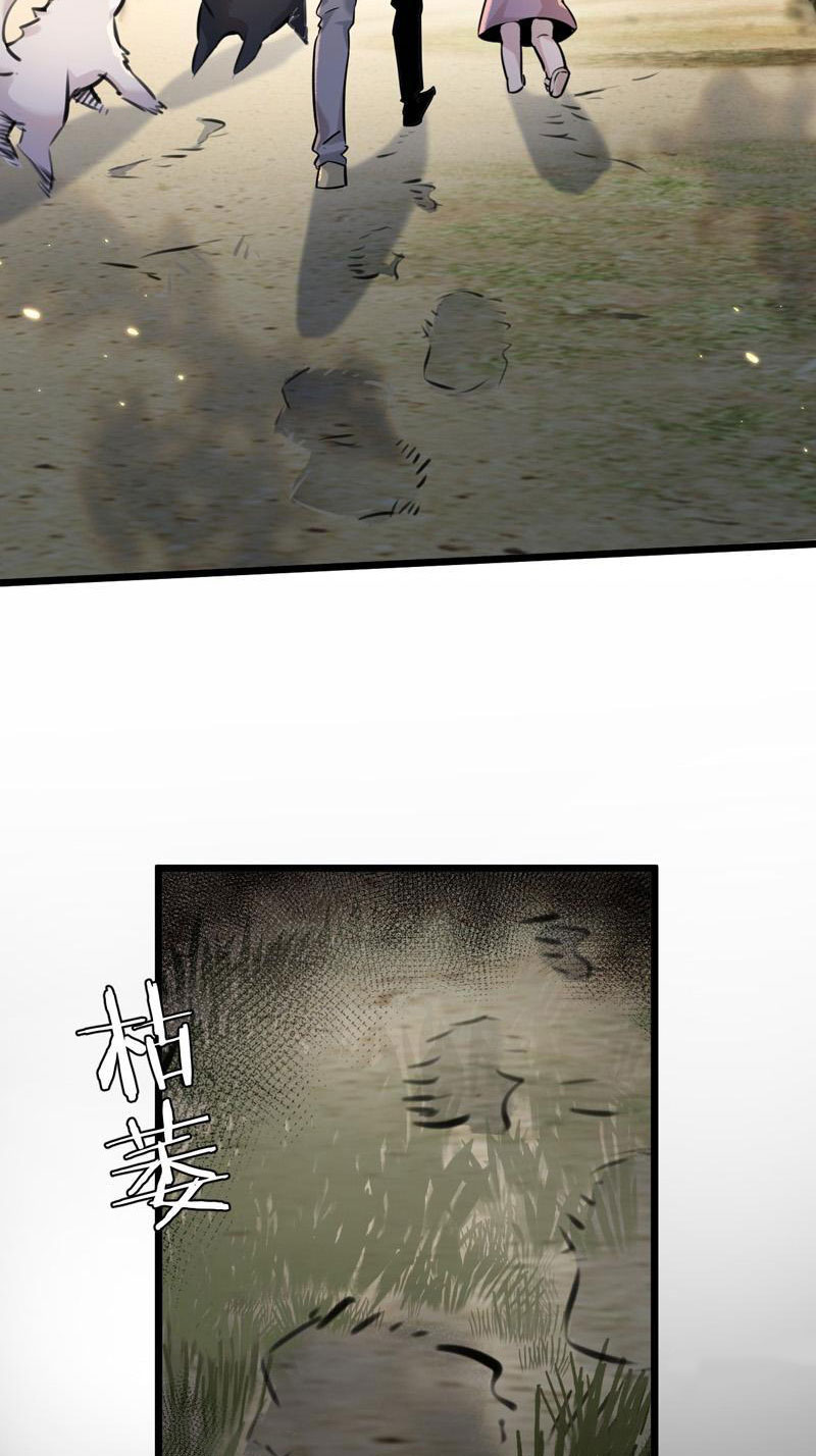 image 47