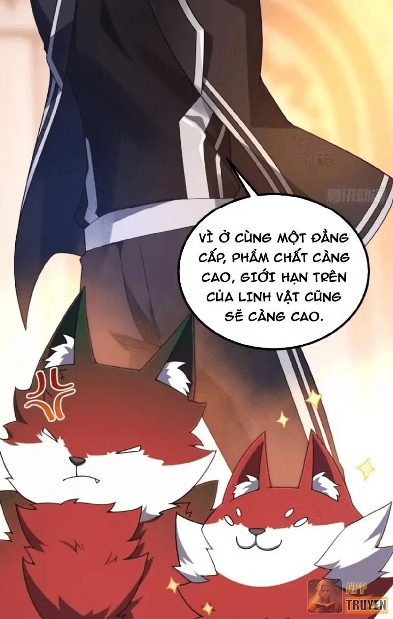 image 38