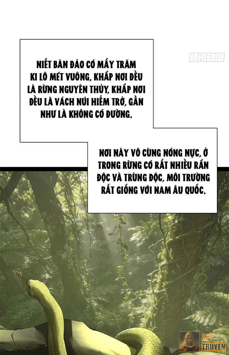 image 49