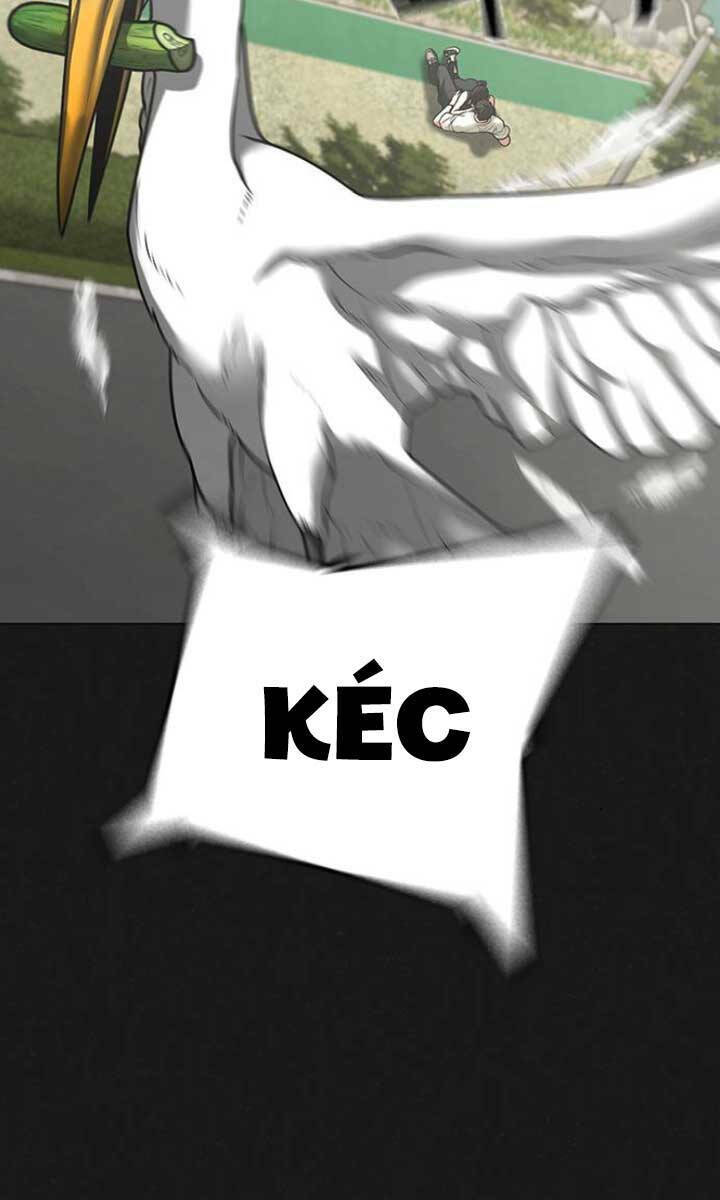 image 39