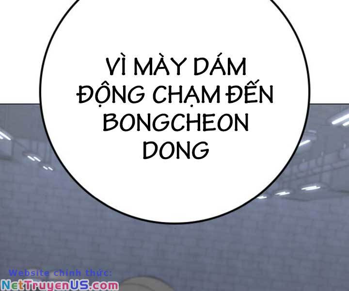 image 244