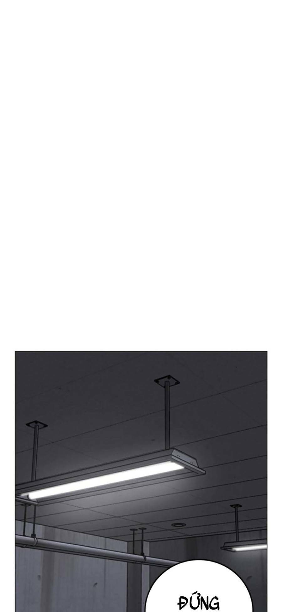 image 23