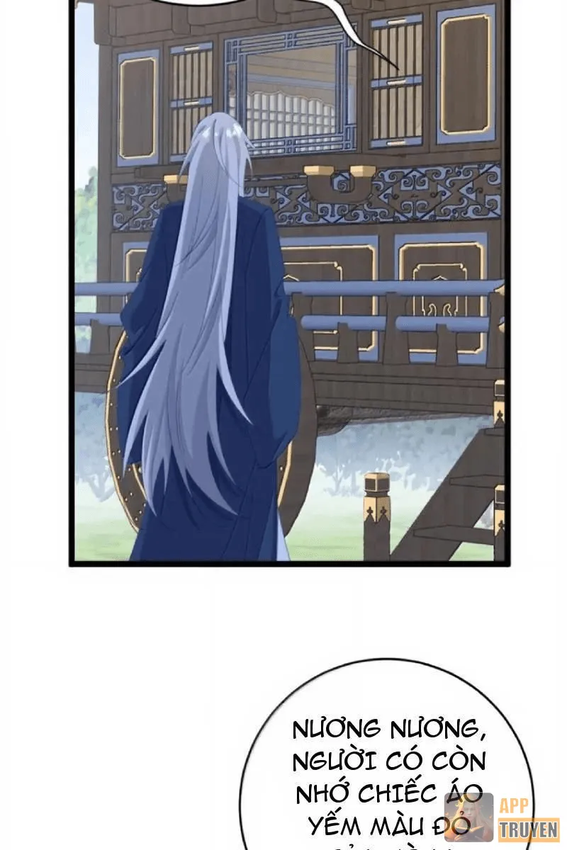 image 38