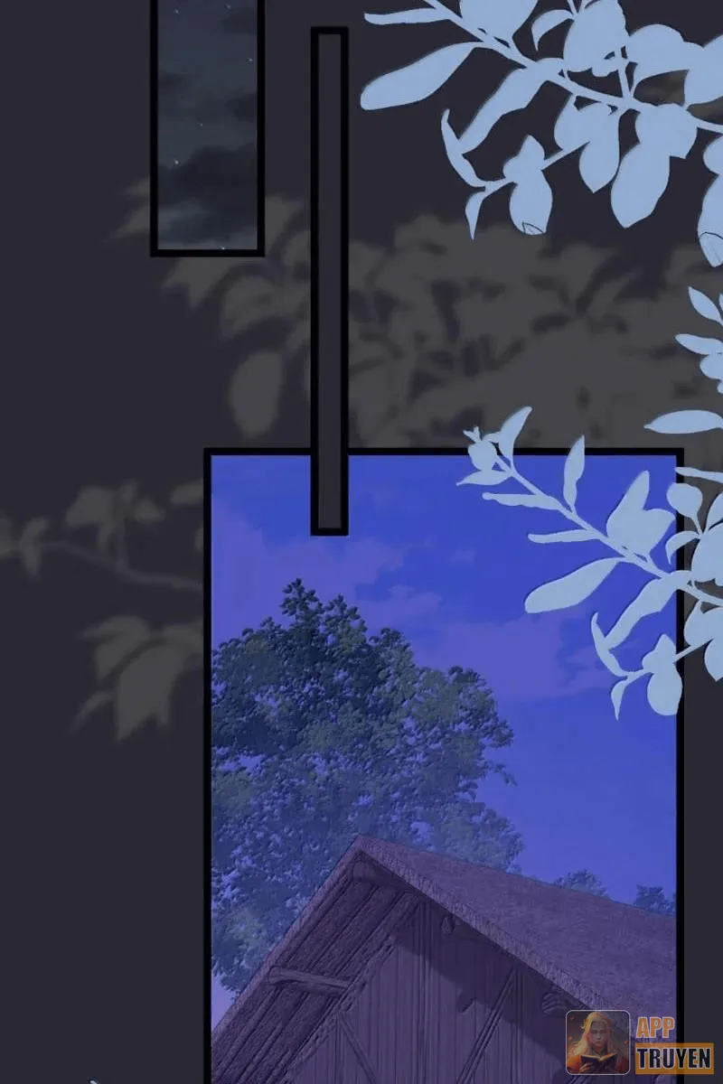 image 16