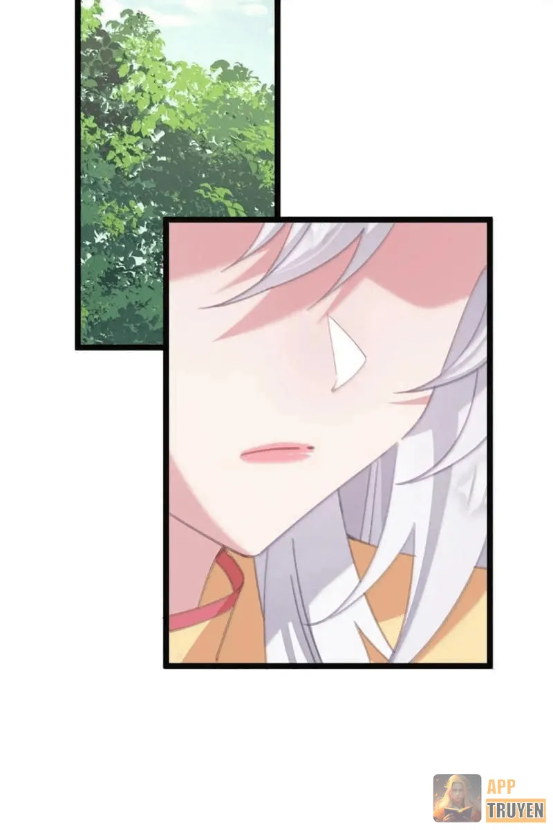 image 32