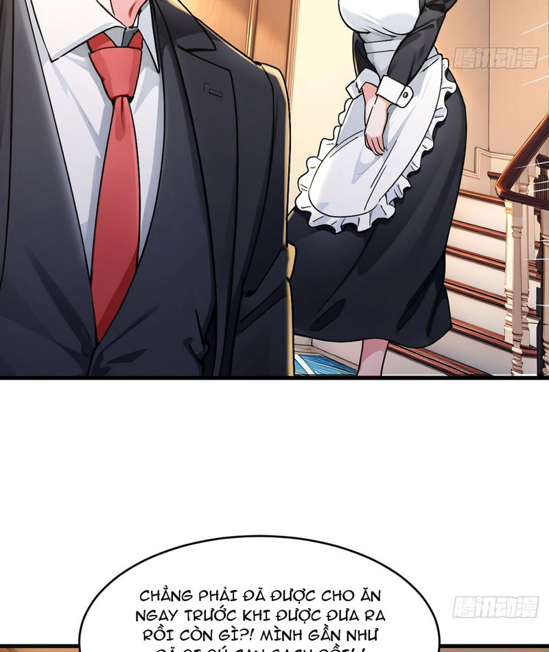 Sau Khi Đầu Thai, Ta Được Kẻ Thù Khắc Thành Vô Địch Chapter 3 - 65
