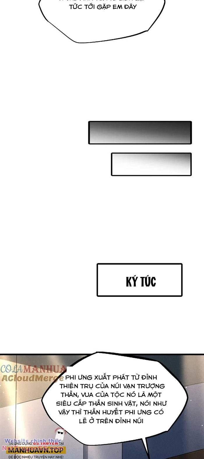 image 31