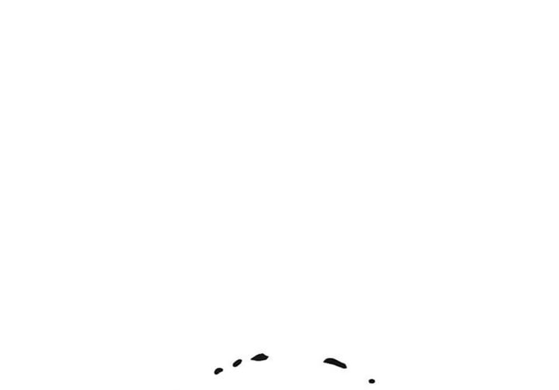 image 241
