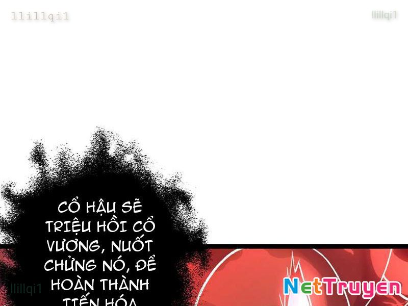 image 31