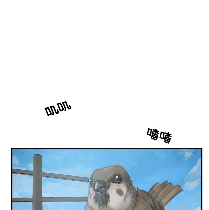 image 29