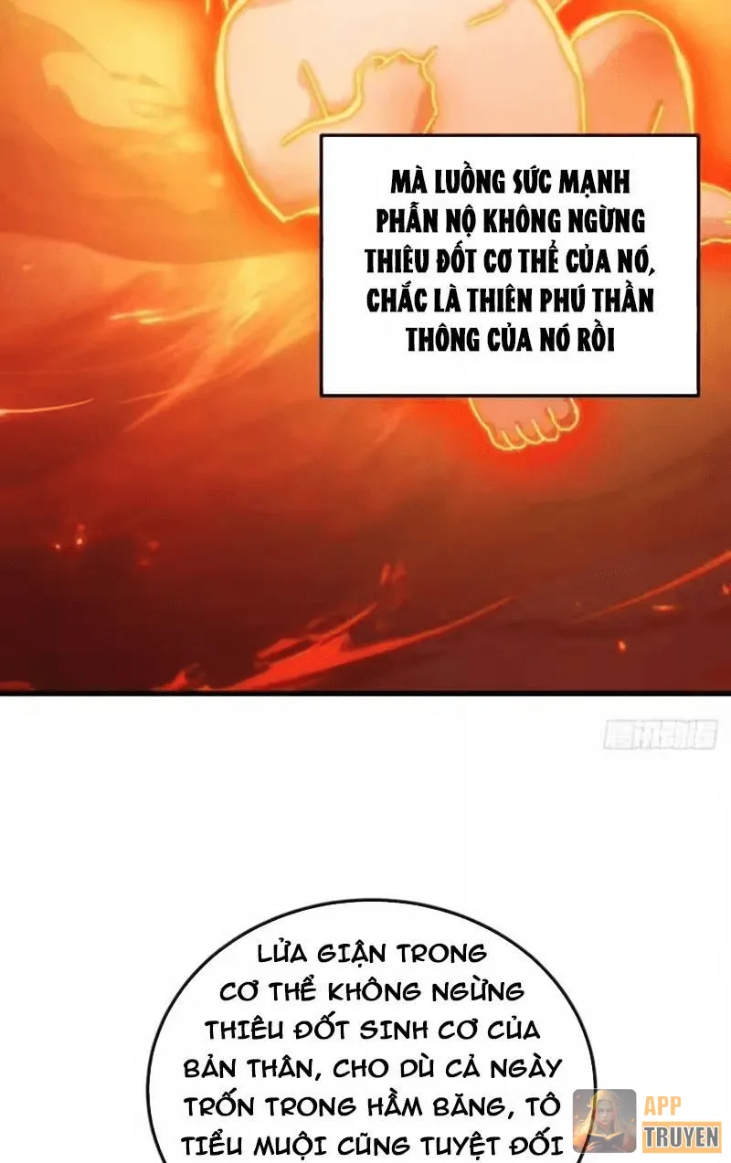 Ta Mô Phỏng Con Đường Trường Sinh Chapter 37 - 7