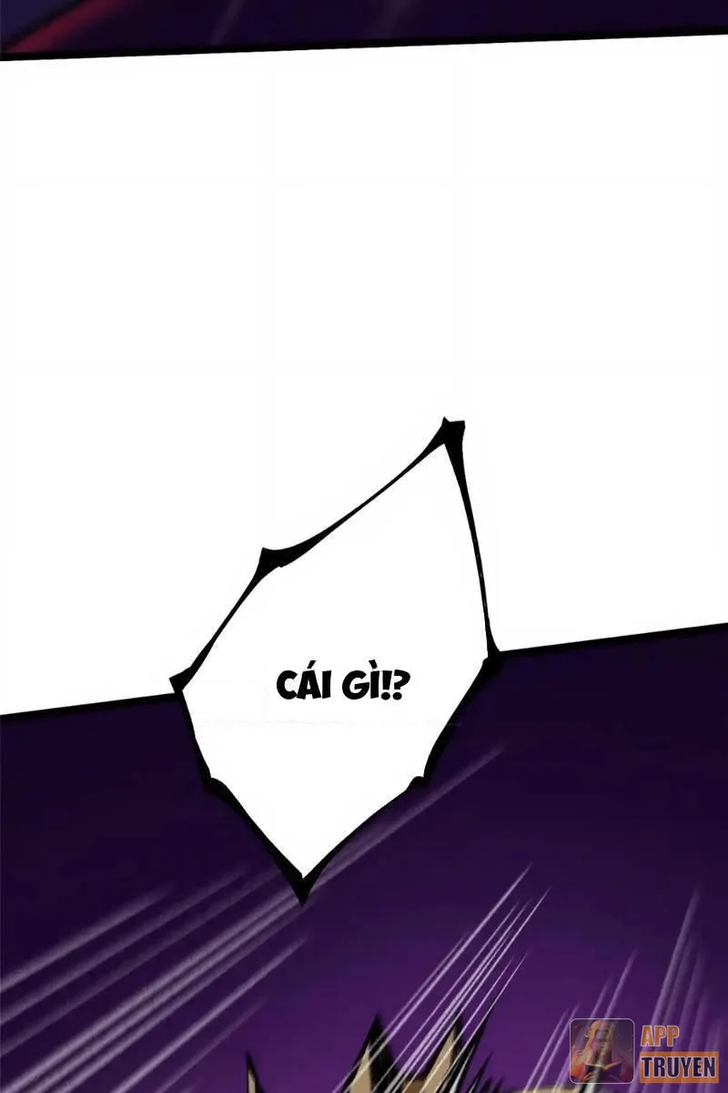 image 23