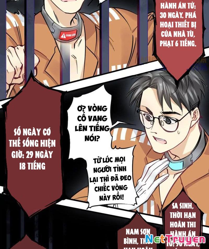 image 31
