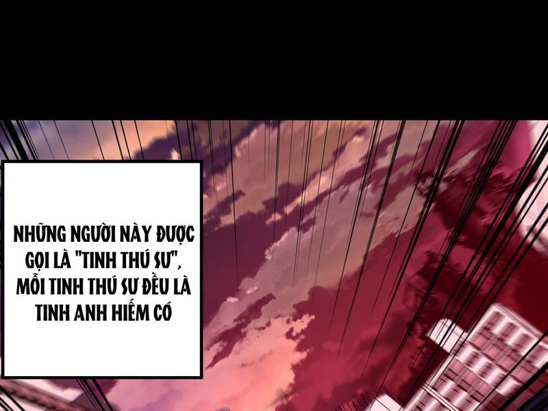 Tinh Thú Sư Mạnh Nhất Chapter 1 - 13