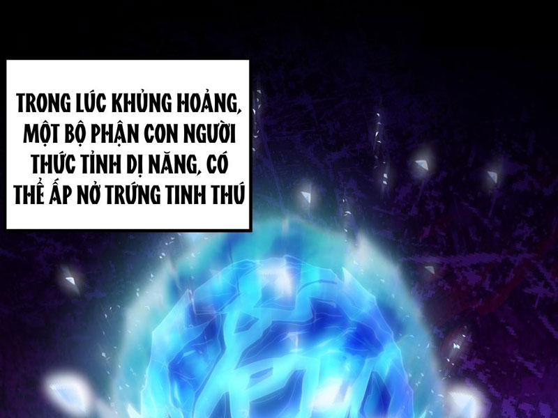 Tinh Thú Sư Mạnh Nhất Chapter 1 - 9