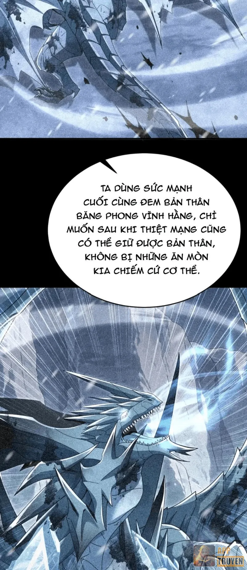 image 33