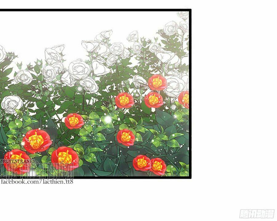 image 37