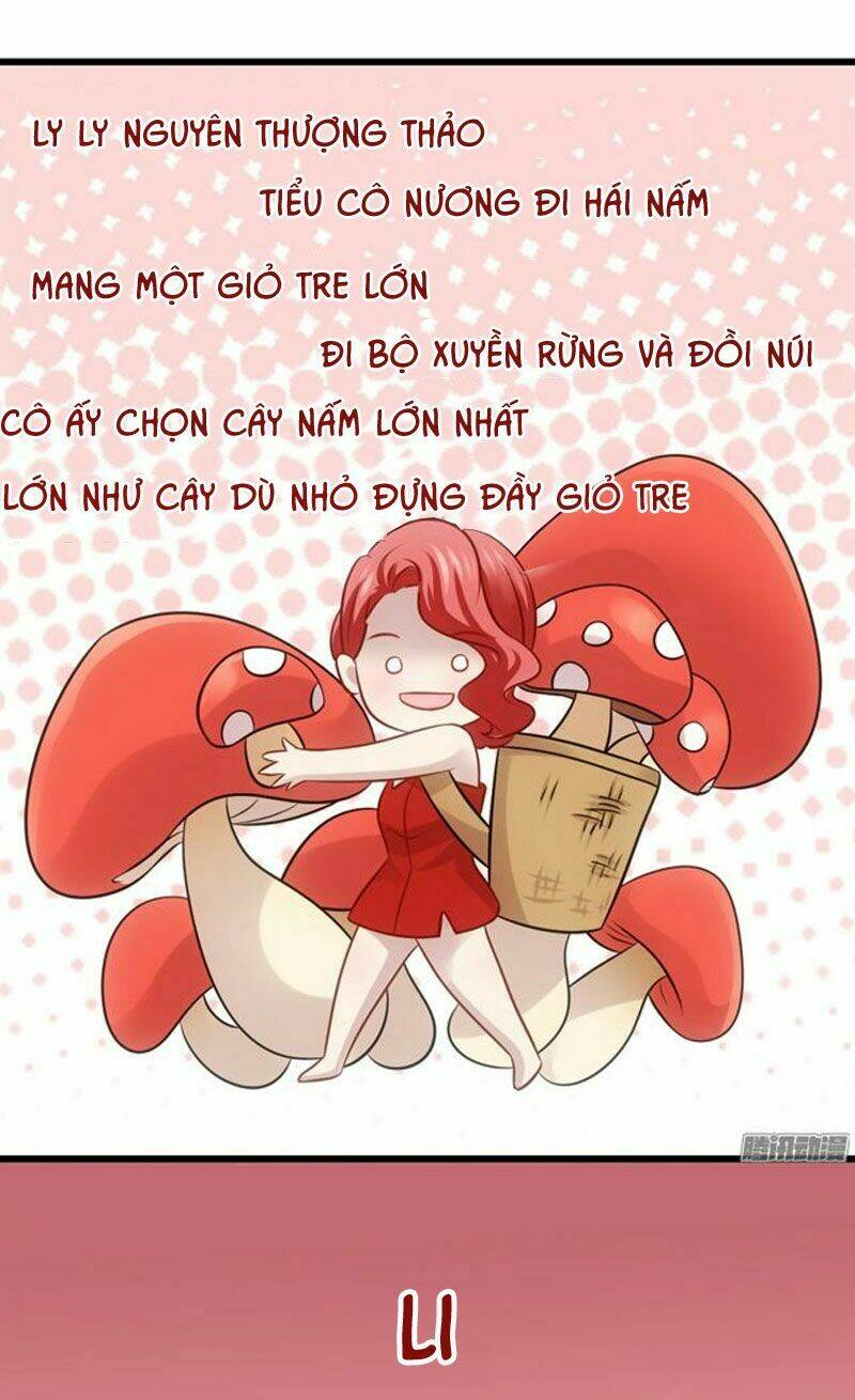 image 31