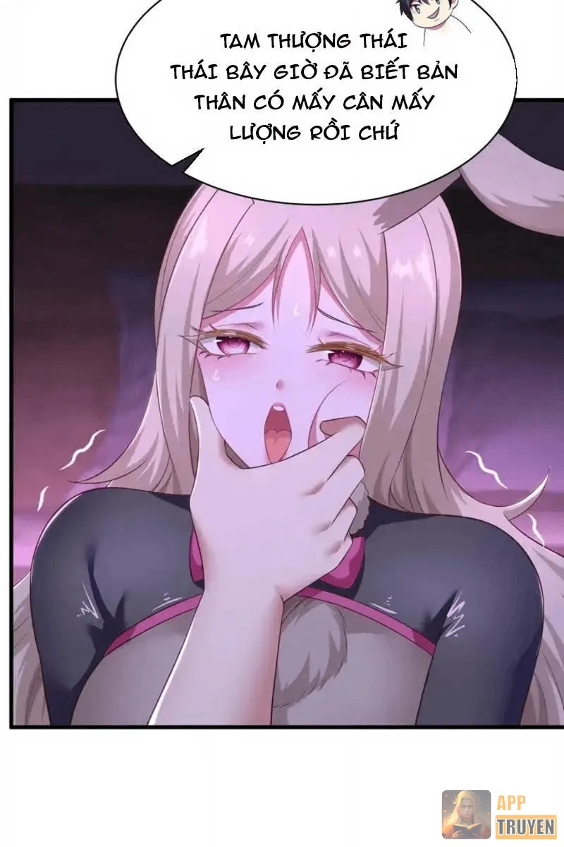 image 22